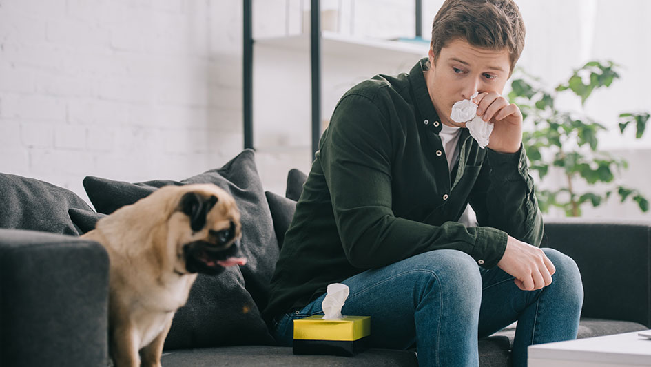 Installing an air purifier is one of the wisest methods to improve your residence’s indoor air quality. Find out more about the three best options. 